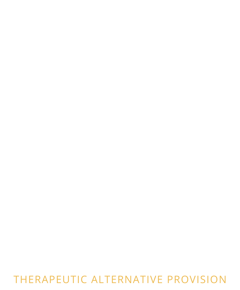 My Oasis - Therapeutic Alternative Provision